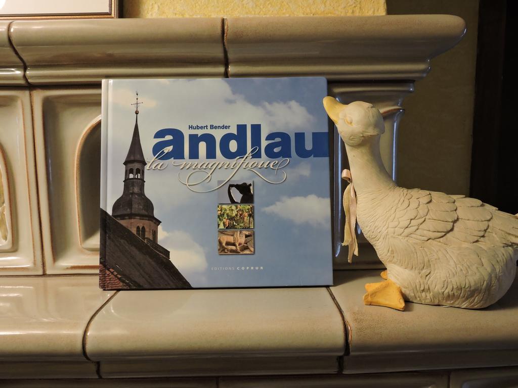 Gite De L'Ancienne Scierie Andlau-au-Val Exteriér fotografie