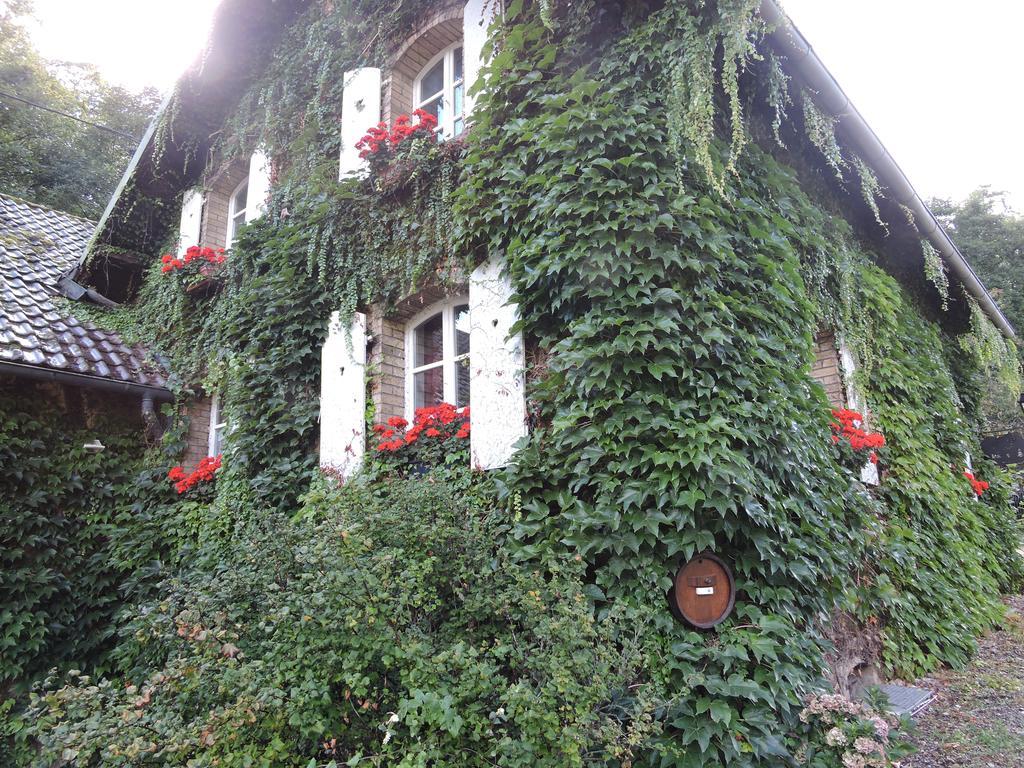 Gite De L'Ancienne Scierie Andlau-au-Val Exteriér fotografie